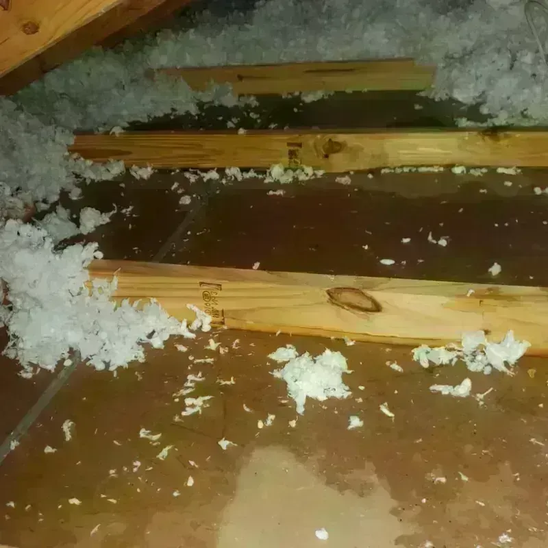 Attic Water Damage in Oak Park Heights, MN